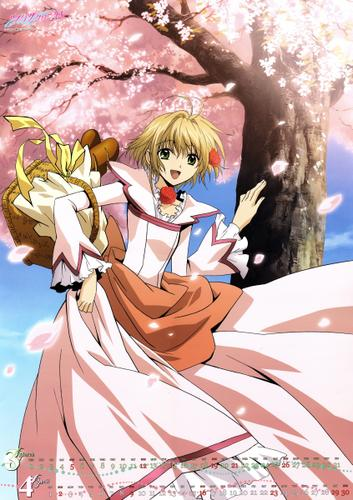 Putri Sakura (Kronik Waduk Tsubasa)
