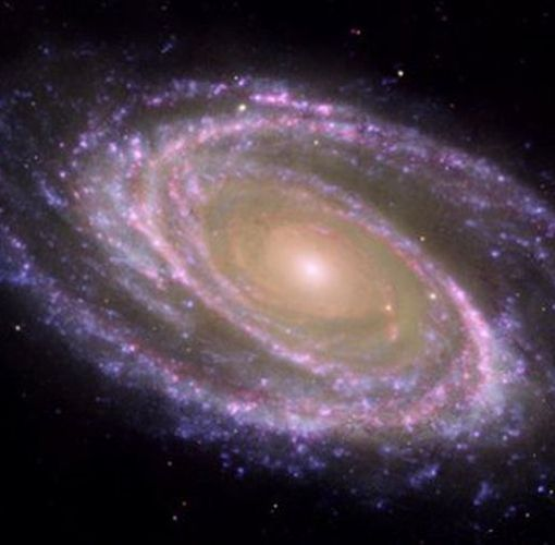 Galaxy M81