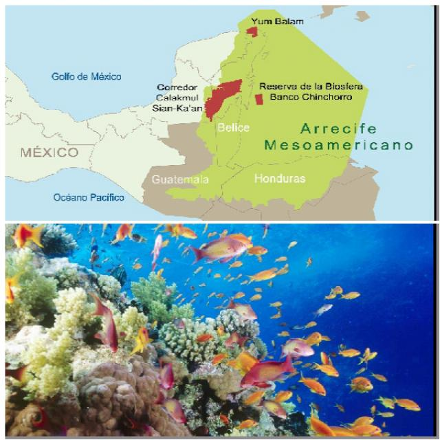 Récif méso-américain (Mexique-Guatemala-Belize-Honduras)