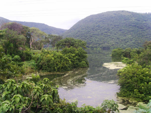 Réserve de biosphère transfrontalière Trifinio-Fraternidade (Guatemala-Honduras-El Salvador)