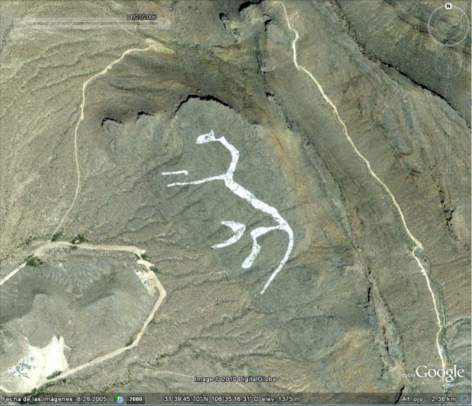 ABSTRACT HORSE ON THE MOUNTAIN