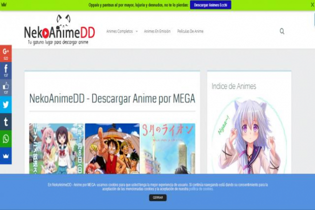 NekoAnimeDD - ваш сайт для загрузки аниме от Mega