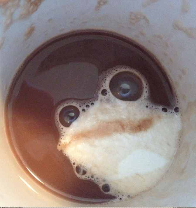 Hi ha alguna cosa en aquest cafè?