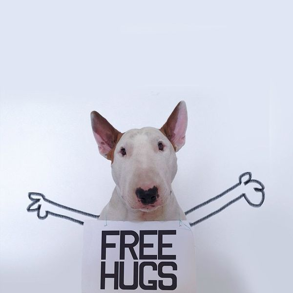 Îmbrățișări gratuite!