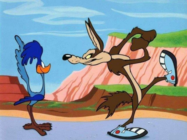 The coyote and the roadrunner