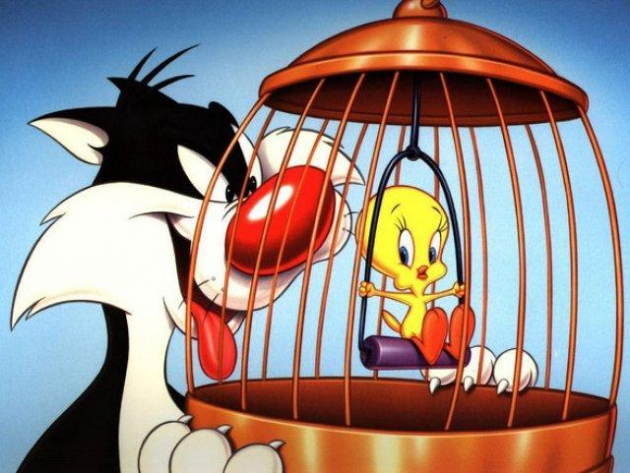 Wild and Tweety