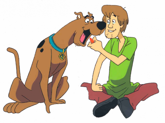 Scooby Doo et Shaggy