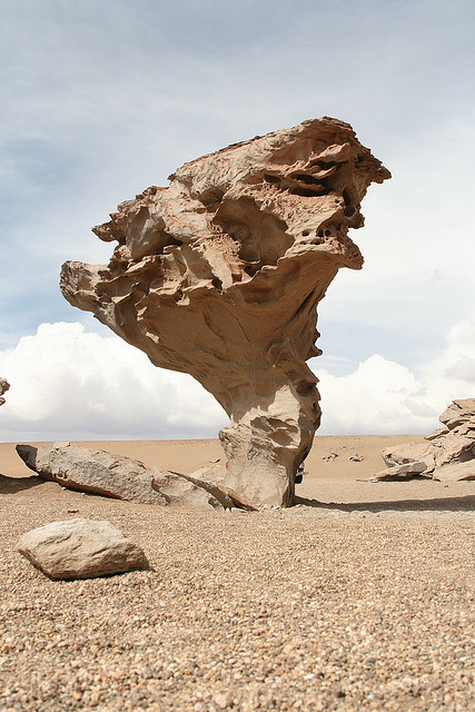Arbre de pierre (Bolivie)