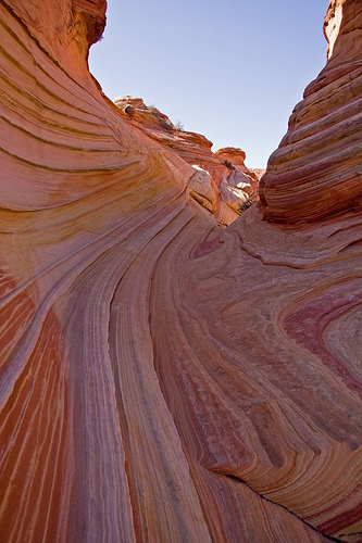 Rock sous forme ondulée (Arizona des Etats-Unis)