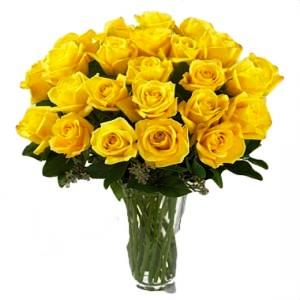 THE YELLOW ROSES