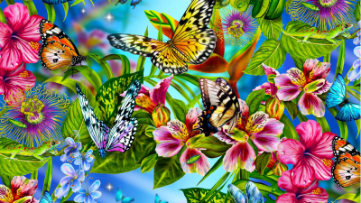 As borboletas mais bonitas do mundo