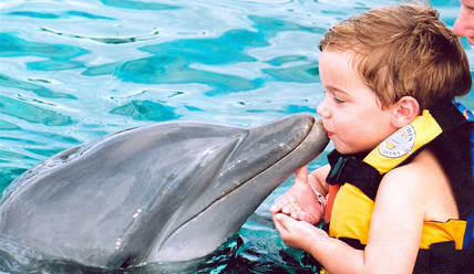 Мальчик плавает с дельфином