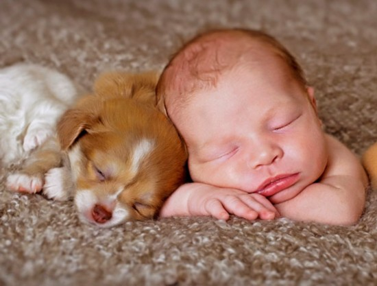 Baby en hond