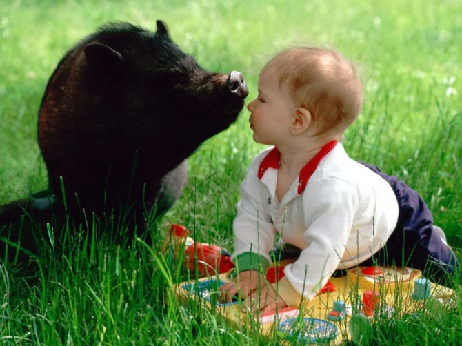 Baby with wild boar