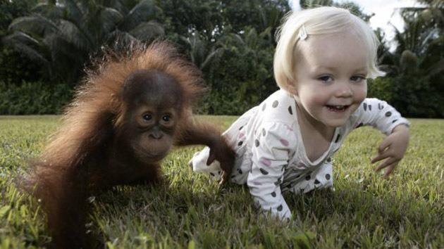 Bébé avec ton singe