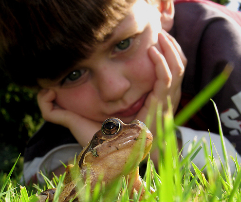 Chłopiec i żaba