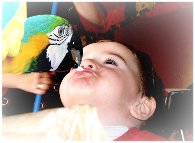 Child with parrot