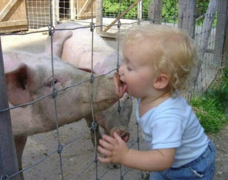 Junge und Schwein