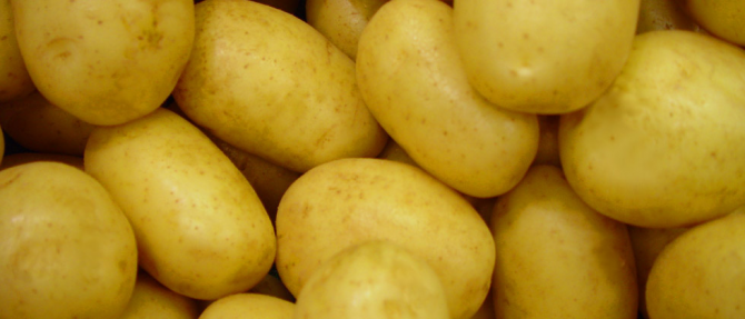 Eine unmögliche Gesellschaft: Kartoffeln und Zwiebeln