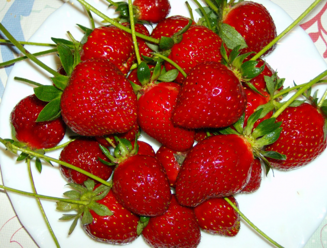 Förvara jordgubbar eller jordgubbar