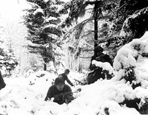 Battle of the Ardennes