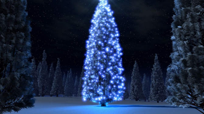 Gli alberi di Natale più originali