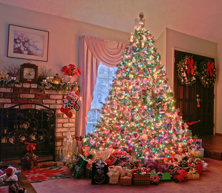 Pohon Natal Muticolor