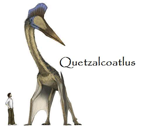 Quetzalcoatlus
