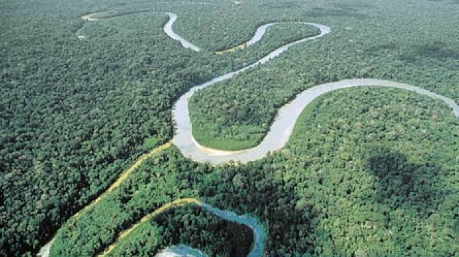 The longest rivers in the world