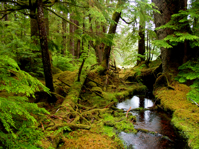 Parco nazionale di Gwaii Haanas e sito del patrimonio di Haida