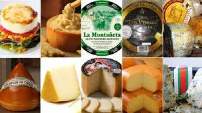 The best cheeses in Spain
