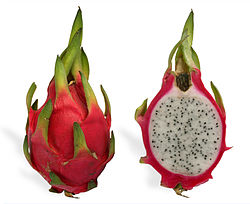 Pitaya oder Drachenfrucht