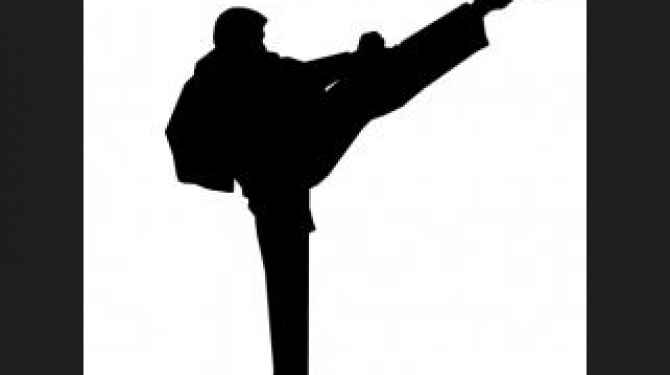Aktor seni bela diri terbaik (karateka) di bioskop