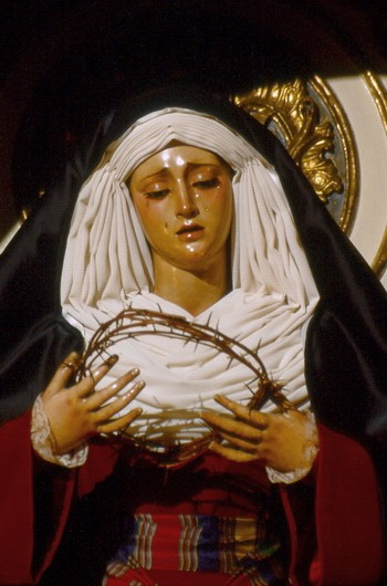 virgin of the students