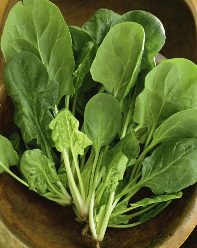 Kopfsalat und grünes Blattgemüse