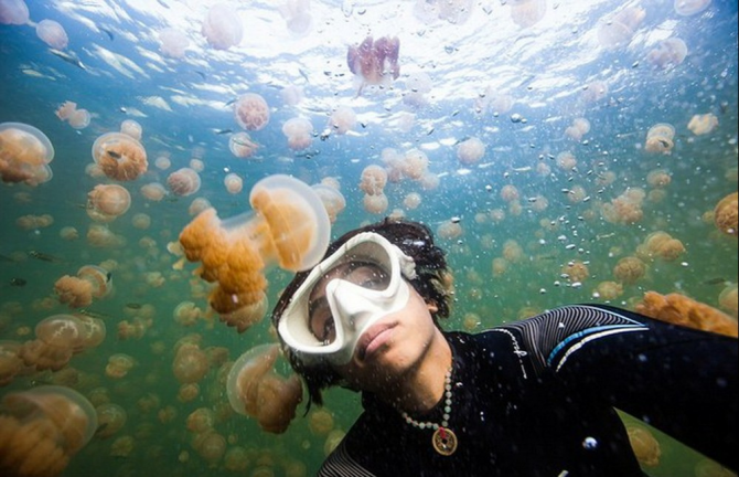 Селфи среди медуз