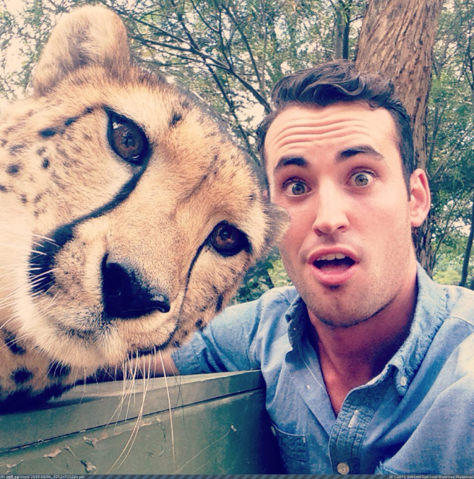 Selfie avec un tigre