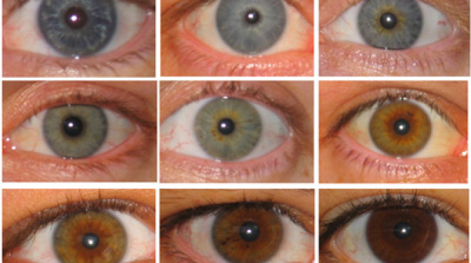 Die schönsten und auffälligsten Augenfarben