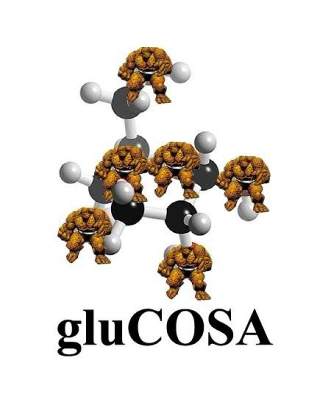 Glukoza