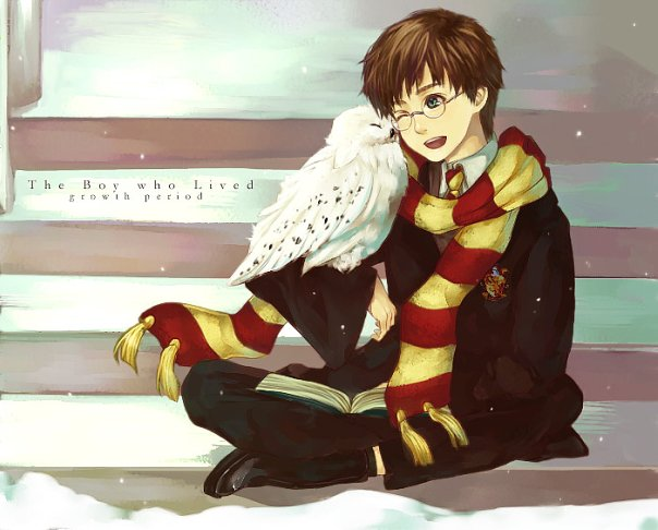 ~ Harry Potter ~