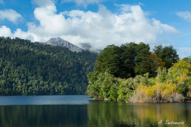 Lac Pirihueico (Chili)