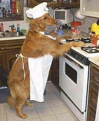 Perro cocinero