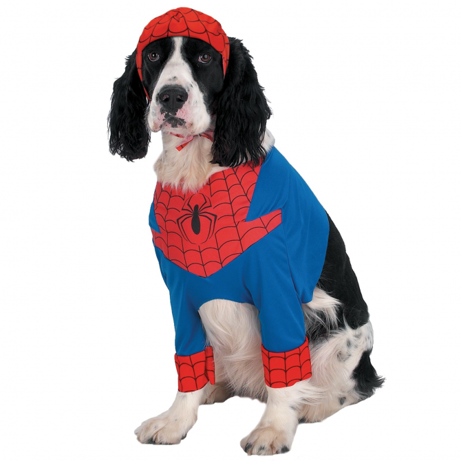 Spiderdog Hund