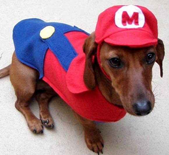 Super Mario Bros собака