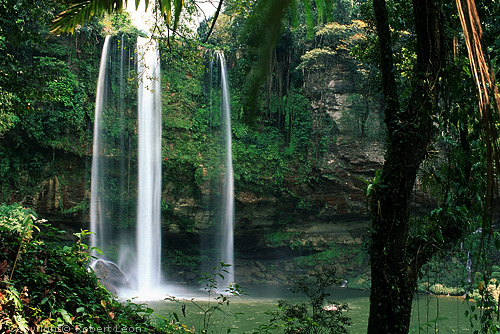 Chiapas- Misol-Ha Waterfall.