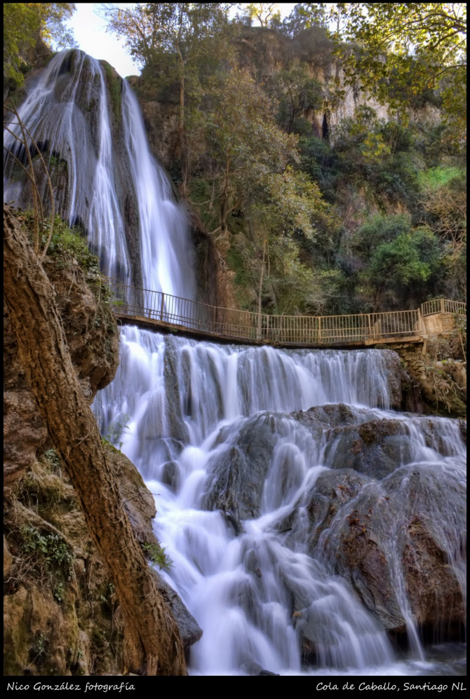 Nuevo León-Schachtelhalm-Wasserfall.