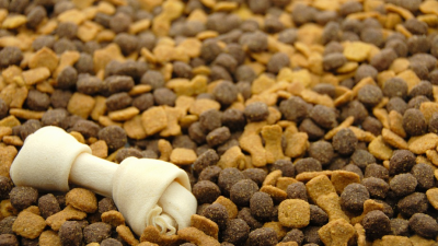 The best feed for dogs