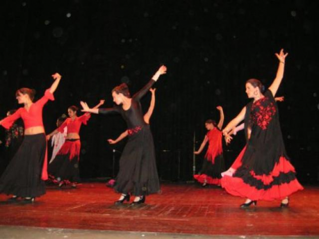 Flamenco, Spanyol
