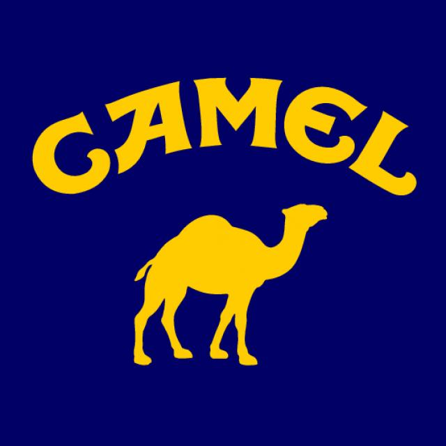 Camell - dromedário.