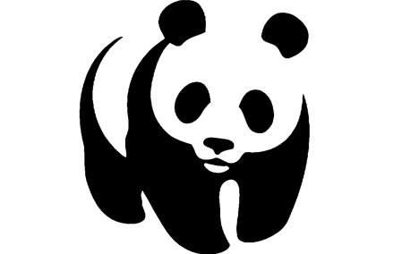 Panda - urso panda.